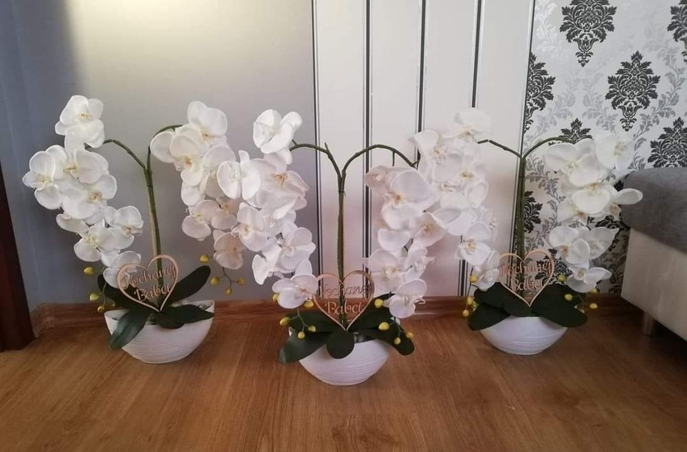 Storczyk biały dwupedowe dzień babci dziadka mamy taty