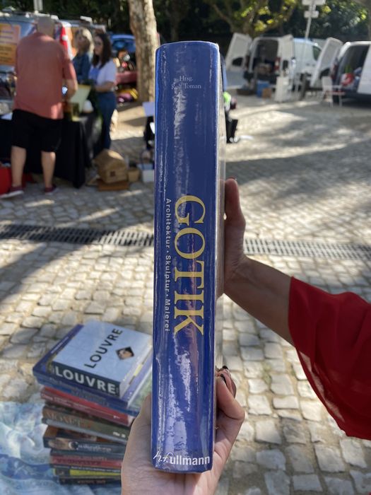 Book “Gotik Architektur Malerei”