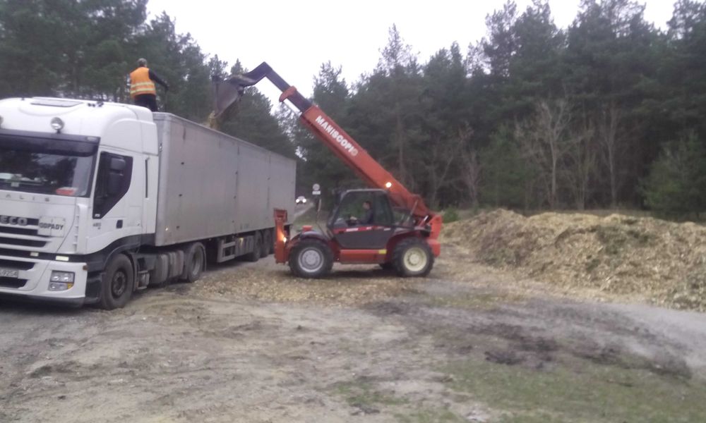 wycinka drzew, mulczerowanie