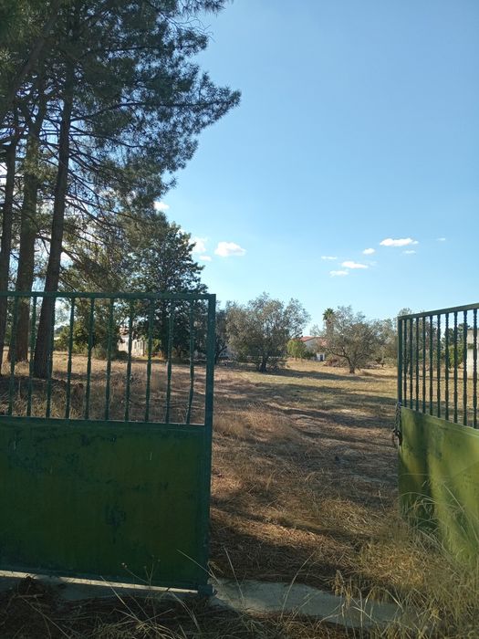 Terrenos venda do Alcaide  ,6mil euros de entrada