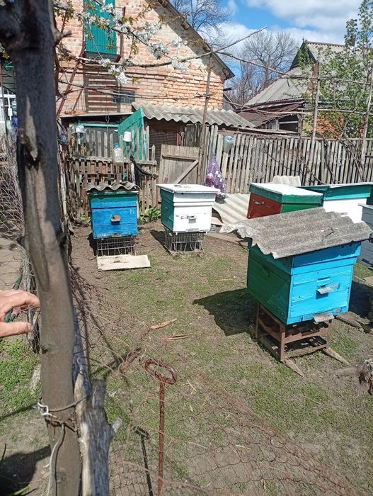 Продам вулики...