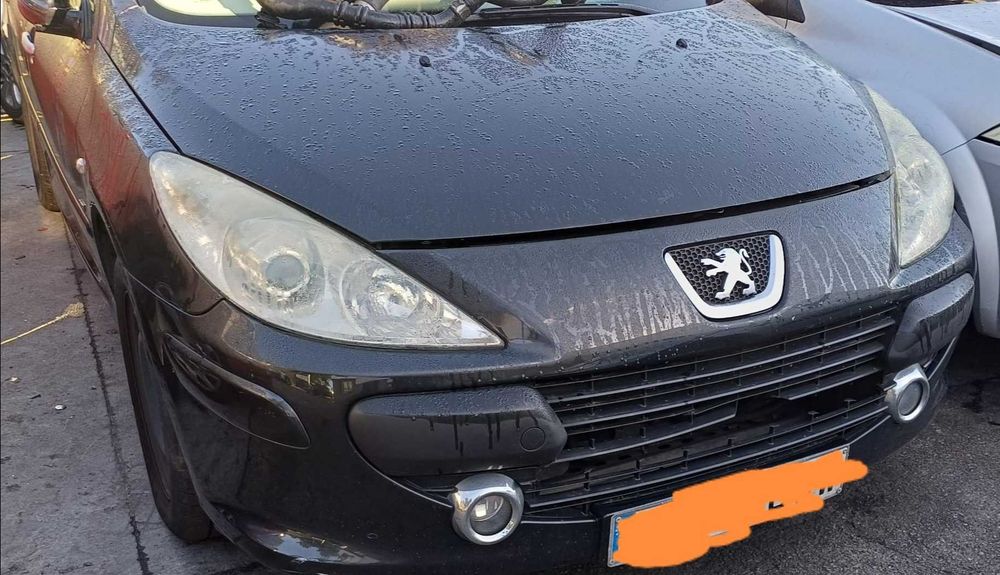 Peças Peugeot 307 e Peugeot 308