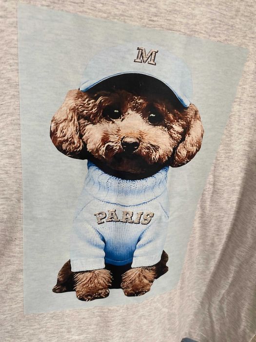 T-shirt koszulka bawełniana  Pudel pies dog szary melanż
