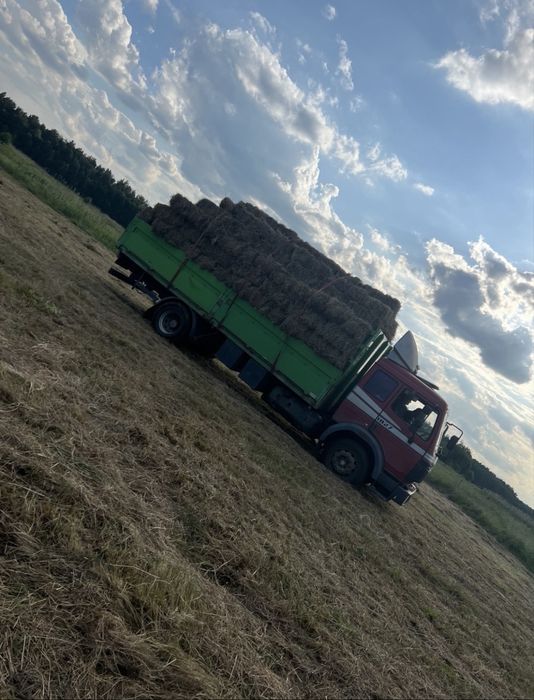 Сіно лугове в тюках, сено, люцерна, отава, різнотравя, солома !