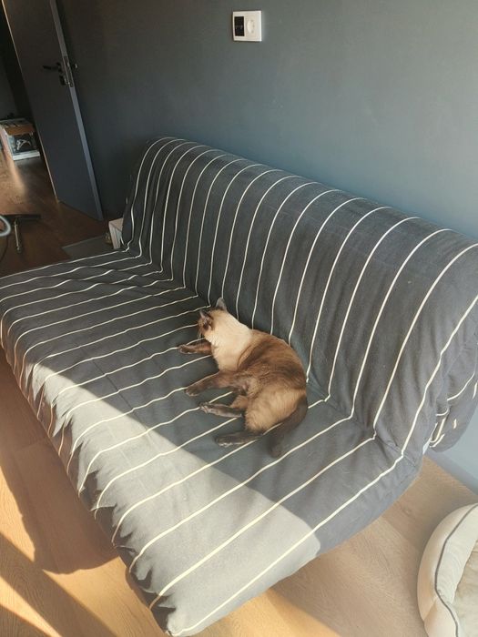 Sofá-Cama IKEA PS (Vintage)