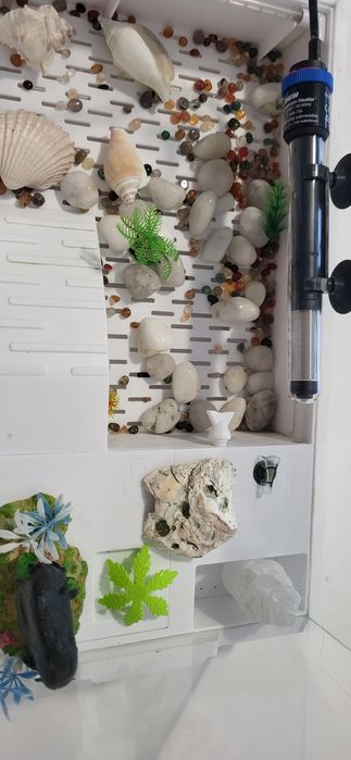 Aquário para tartarugas