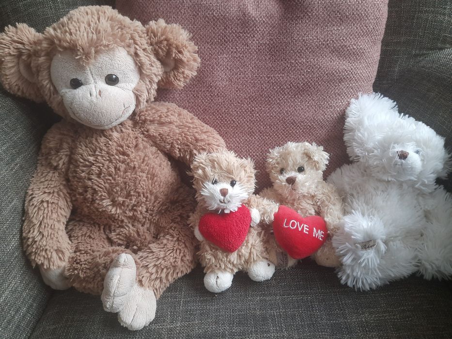 Maskotki Bukowski - misie, małpka