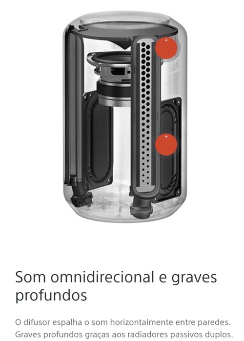 Coluna Sony SRS-RA3000