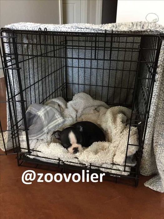 Манеж вольер клетка клітка для собак щенков котят птиц S-XXL