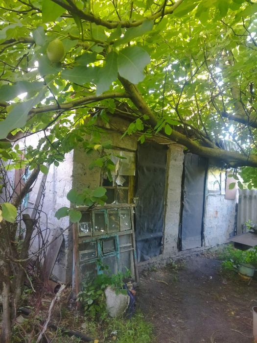 Продам будинок село Дмитрівка