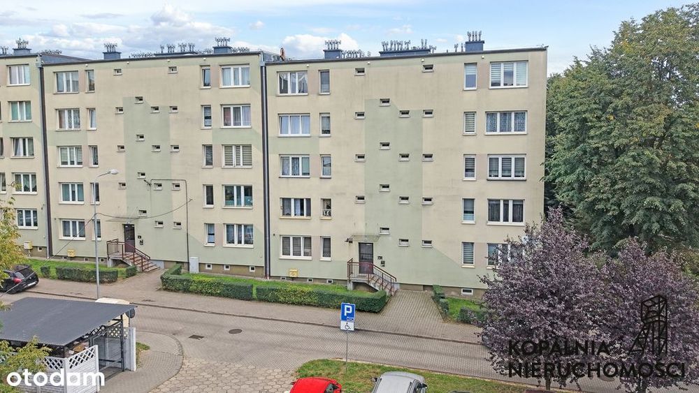 2 pokoje klimzowiec wiosenna od zaraz