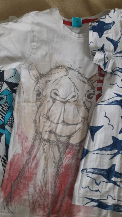 Tshirty chłopięce r.134