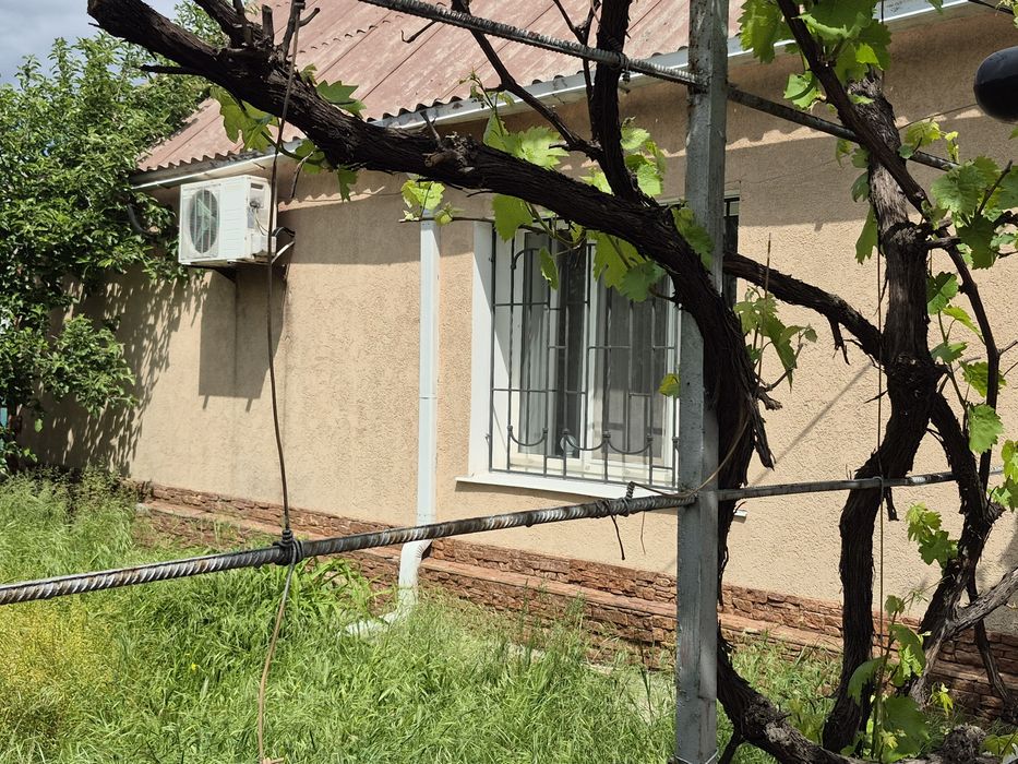 Сдам большой красивый дом, Космос.