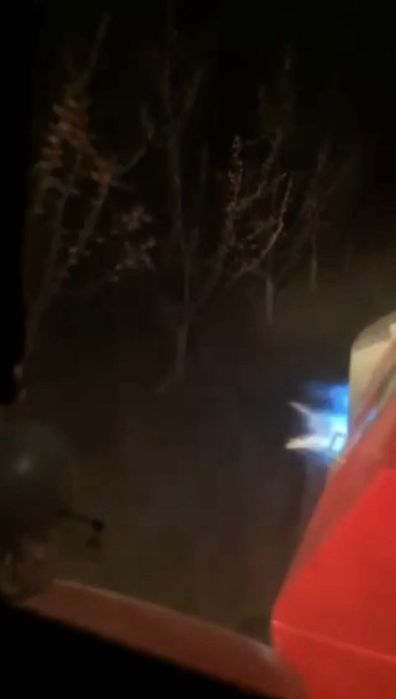 Садовий обігрівач