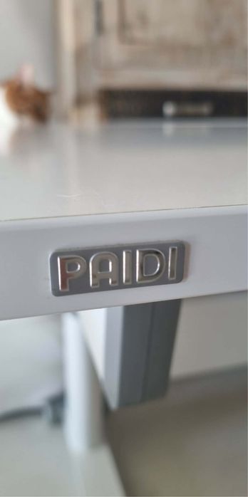 Biurko Paidi regulowane