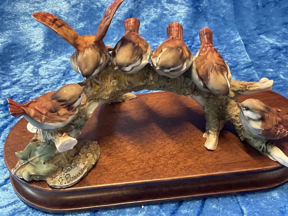 Aves em tronco ,,20 cm longo .