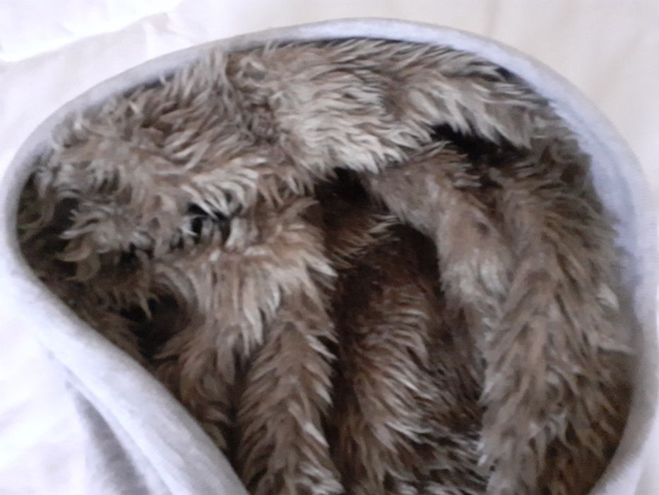 Casaco de treino com pelinho