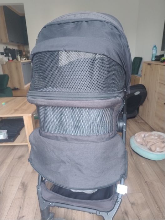 Wózek 2 w 1 Skiddodu Moss
