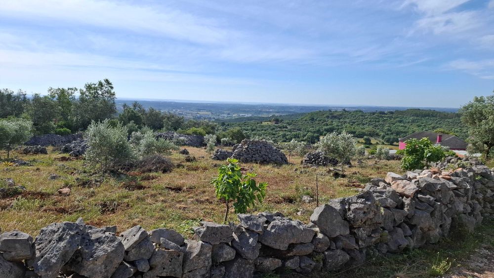 Terreno Rural, para venda nos Casais da Moreta. Monsanto ACN Santarém.
