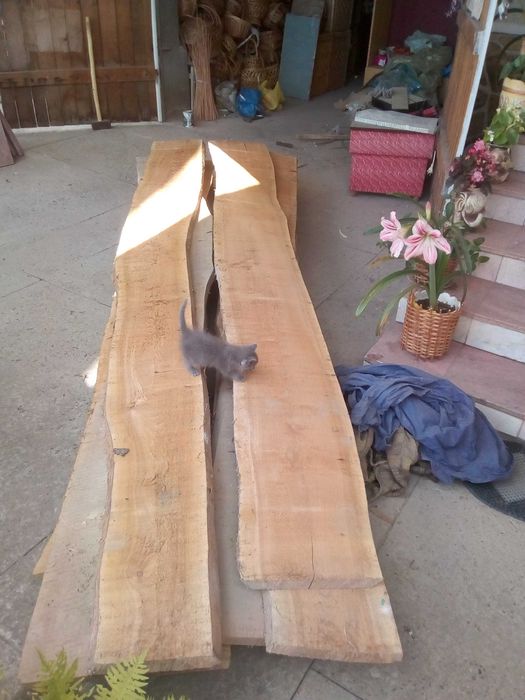 Доска суха (черешня)