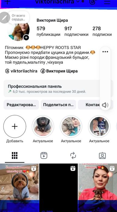 Маленька крихітка .Той пудель априкот