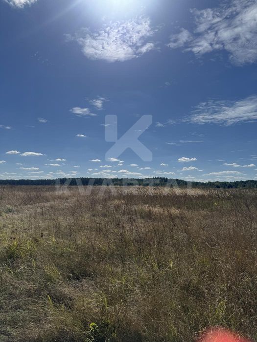 Земельна ділянка в с. Дружня, 15 соток. Вигідна пропозиція