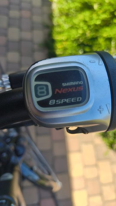 Rower Pegasus Premio SL