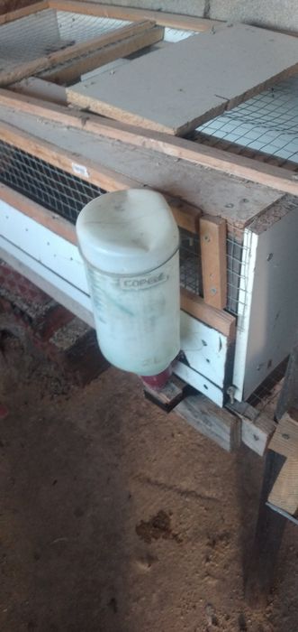 Gaiola para codorniz ou pintos pequenos