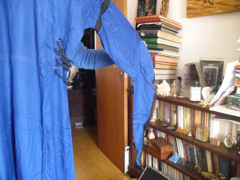 Vestido medieval Leonardo Carbone