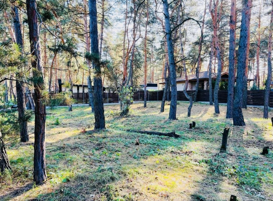 Продам участок Обуховка Сосновый Берег лес река