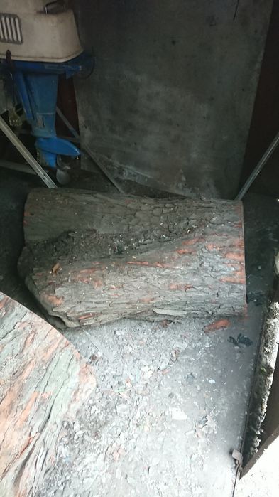 Дерево на дрова, клен.