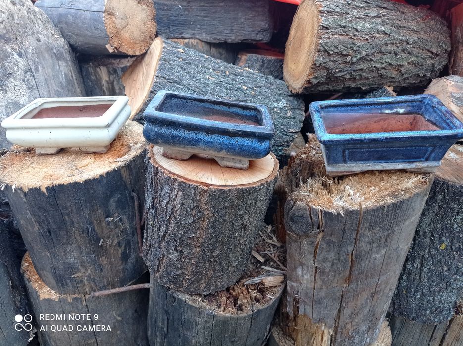 Горщик для бонсай Плошка