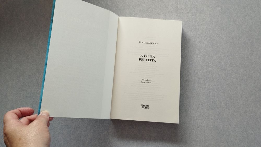 A filha perfeita - Lucinda Berry
