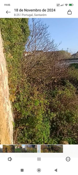 Serviço limpeza terreno/jardins