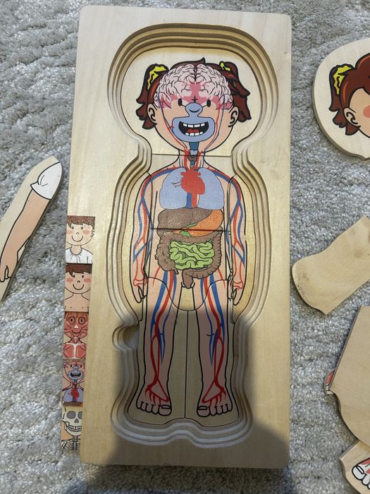 Drewniane puzzle ludzkie ciało dziewczynka