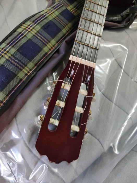 Viola castanha com capa