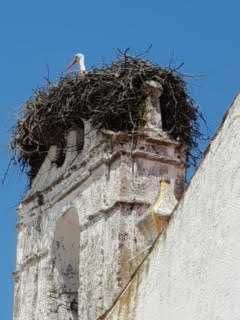 Casa para recuperar junto a bacia do Alqueva