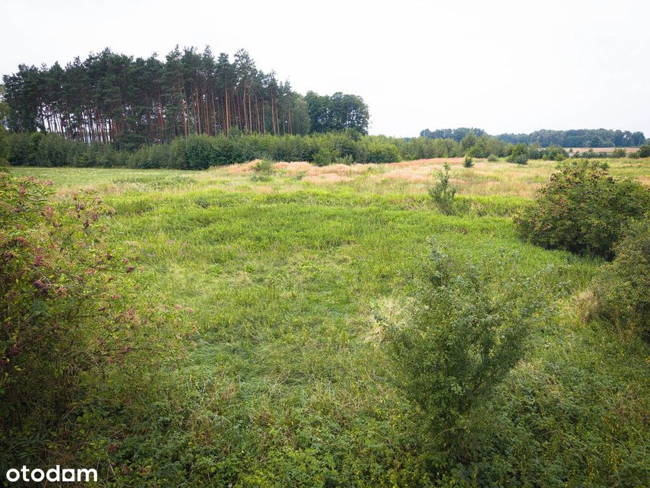 Działka budowlana 900 m², MPZP, droga utwardzona
