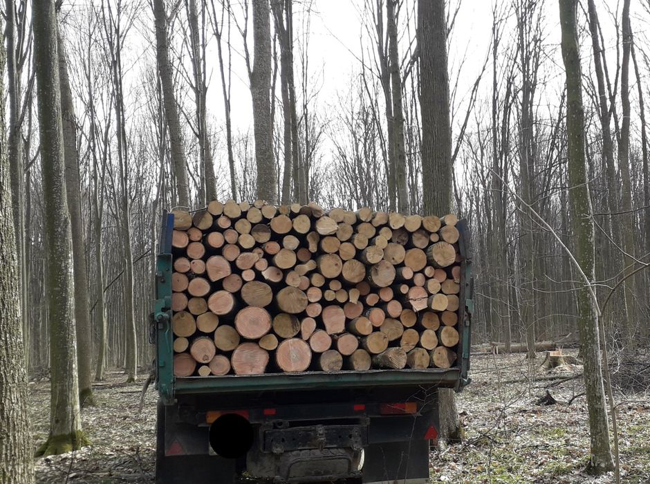 ПРОДАМ ДРОВА! З доставкою.