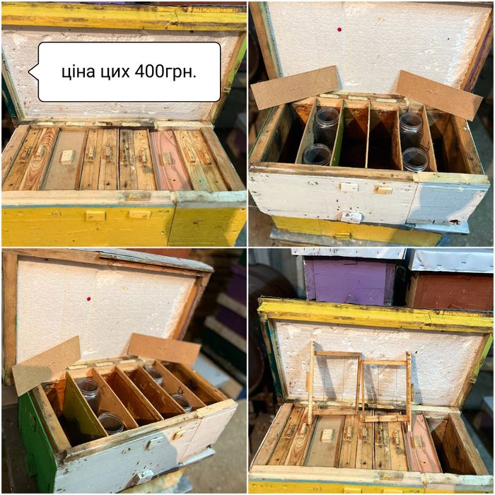 Нуклеуси на 4 маткомісця