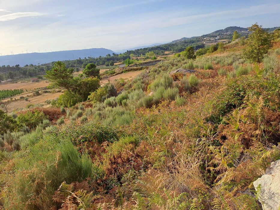 Terreno Rústico em Paredes da Beira com 9200 m2