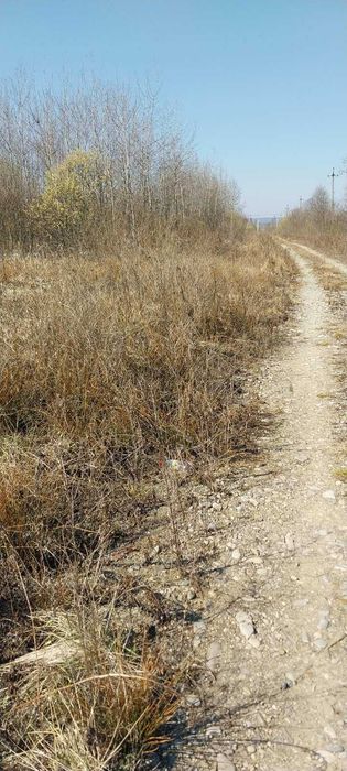 Продаж земельної ділянки під житлову забудову в Богородчанах