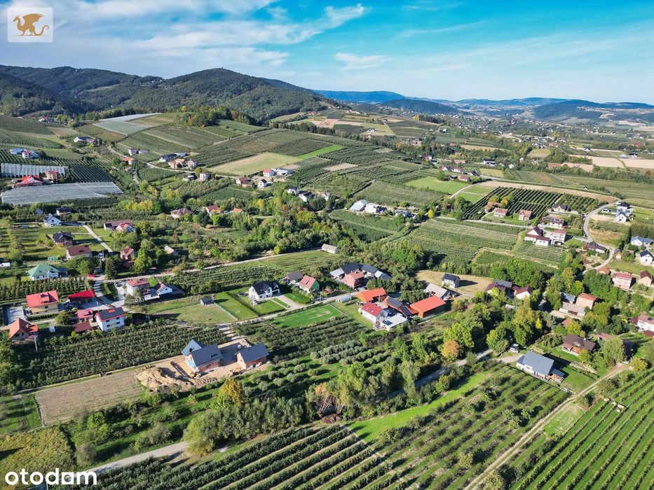 Duża działka z domem | Czarny Potok | 8700 m², sad i potok - Widok 4