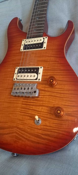 prs se custom 22 progi 2008