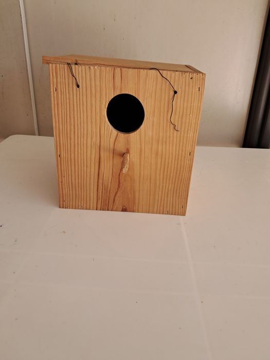 ninho novo para pássaros