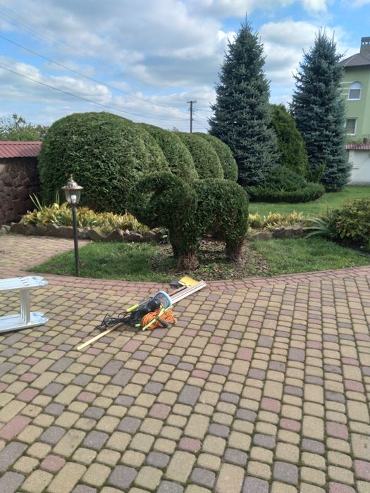 Обрізка фруктових та інших дерев на весну, обрискування санітарне.