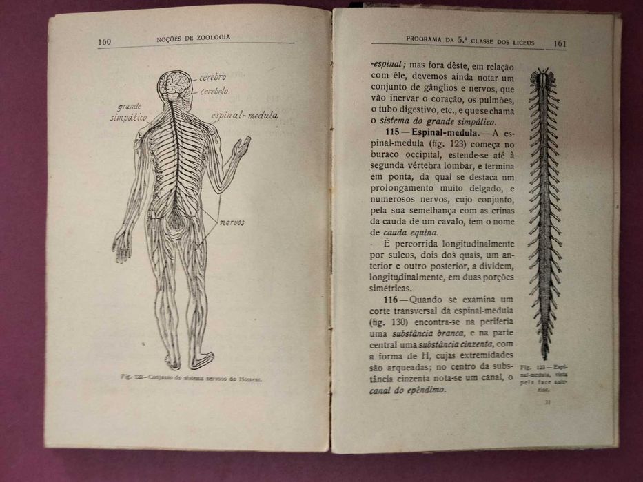 Noções de Zoologia - Augusto C. G. Soeiro