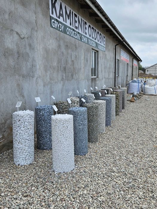Kamień ogrodowy, dalmatynczyk