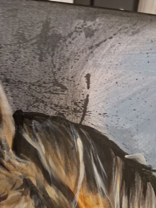 Portret konia w stajni