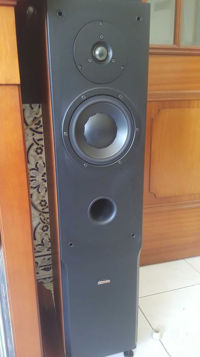 Colunas de Audiófilo - Dynaudio Audience 62